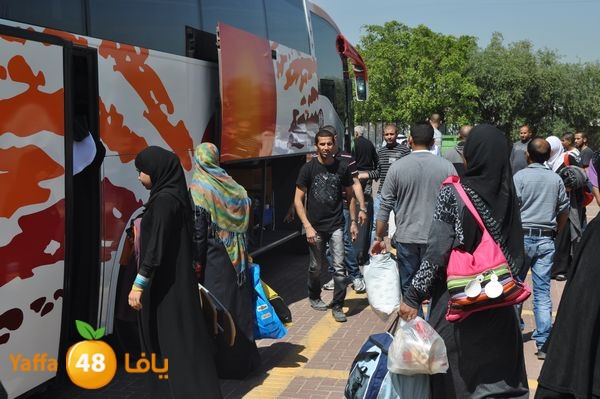 3omrashneer321 (1).JPG